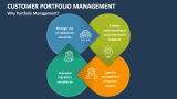 Why Customer Portfolio Management? - Slide 3