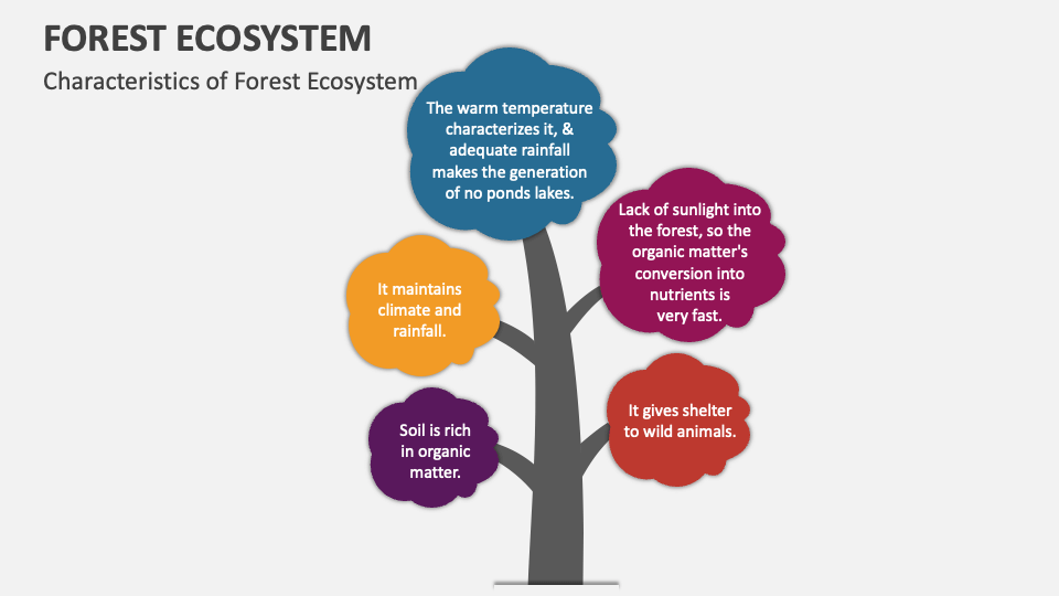 Forest Ecosystem PowerPoint Presentation Slides PPT Template
