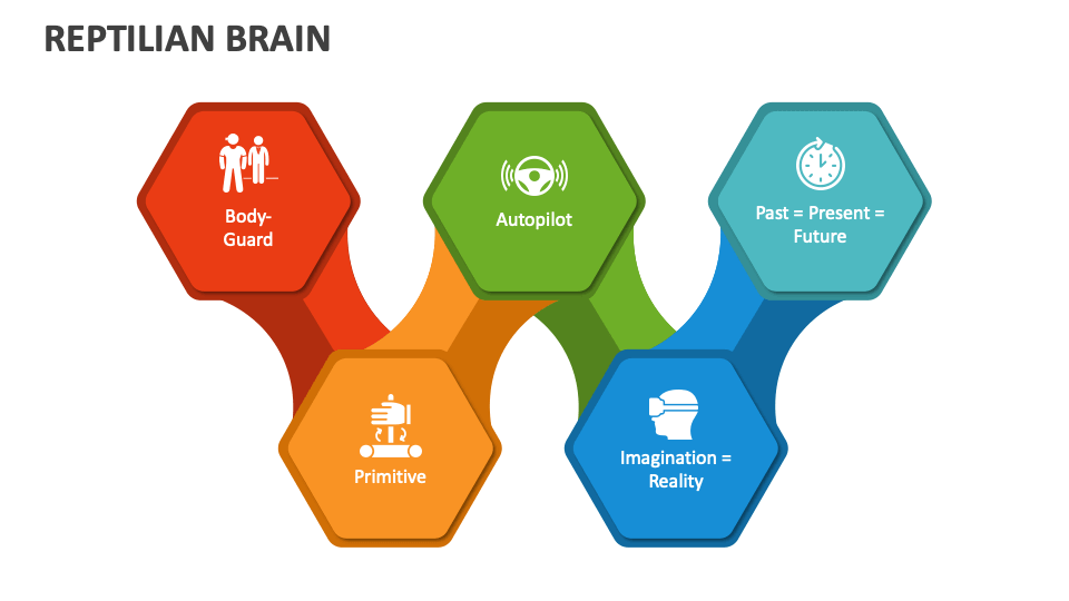 Reptilian Brain PowerPoint Presentation Slides PPT Template