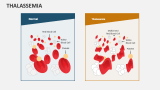 Thalassemia - Slide 1