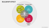 Bullwhip Effect - Slide 6
