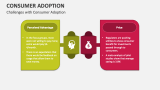 Challenges with Consumer Adoption - Slide 5