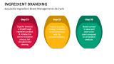 Successful Ingredient Brand Management Life Cycle - Slide 4