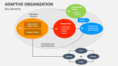 Key Elements of Adaptive Organization - Slide 1