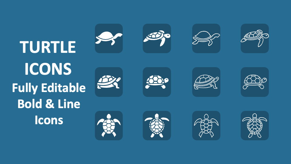 Turtle Icons - Slide 1