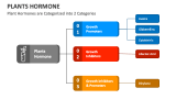 Plant Hormones are Categorized into 2 Categories - Slide 5