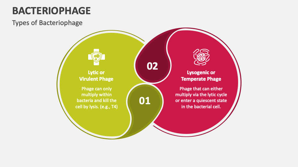 bacteriophage-powerpoint-and-google-slides-template-ppt-slides