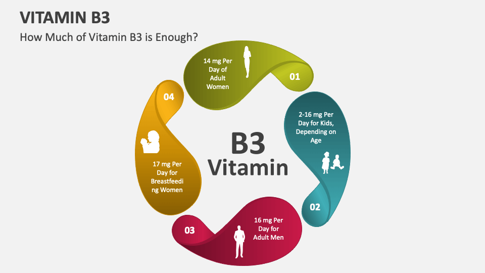 Vitamin B3 PowerPoint and Google Slides Template PPT Slides