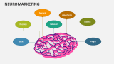 Neuromarketing - Slide 4