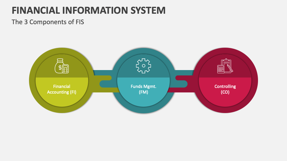 A Comparison Between Two Components Of Financial Information Financial Information System PowerPoint and Google Slides Template