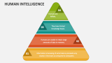 Human Intelligence - Slide 3