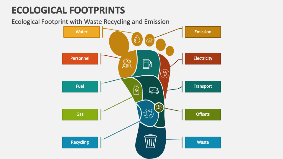 Ecological Footprints PowerPoint and Google Slides Template - PPT Slides