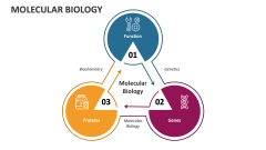 Molecular Biology - Slide 1