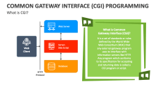 What is CGI Programming? - Slide 1