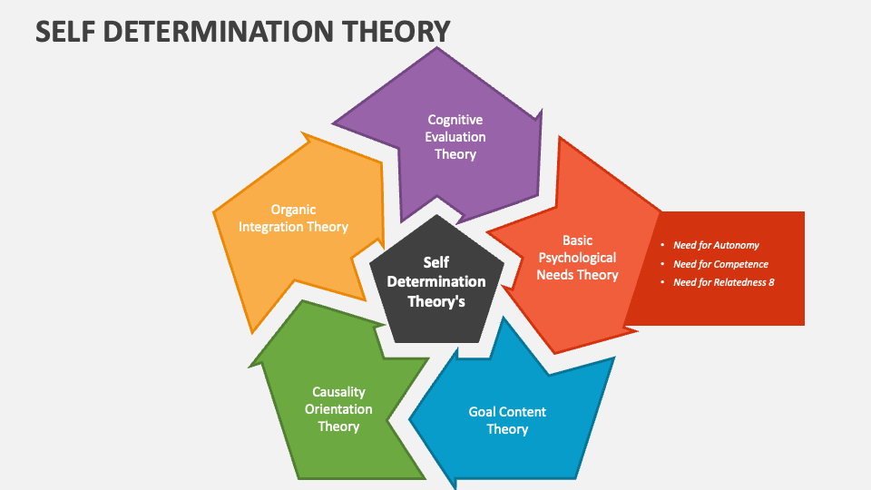 self determination theory presentation