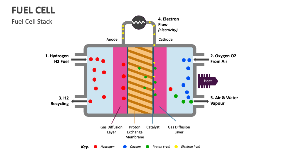 Fuel Cell PowerPoint Presentation Slides Biology Diagrams