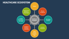 Healthcare Ecosystem - Slide 1