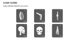 X-Ray Icons - Slide 2