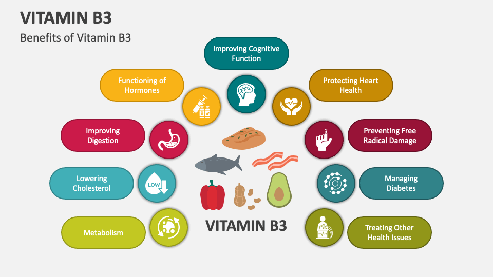 Vitamin B3 PowerPoint and Google Slides Template PPT Slides