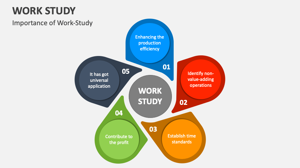 Work Study PowerPoint and Google Slides Template PPT Slides