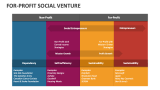 For Profit Social Venture - Slide 3