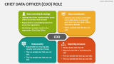 Chief Data Officer Role - Slide 1