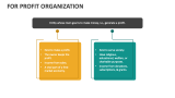 For Profit Organization - Slide 2