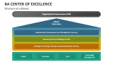 Structure at a Glance: BA Center of Excellence - Slide 3