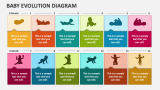 Baby Evolution Diagram - Slide 1