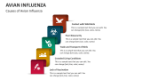 Causes of Avian Influenza - Slide 2