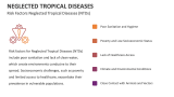 Risk Factors Neglected Tropical Diseases (NTDs) - Slide 6