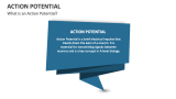 What is an Action Potential? - Slide 2