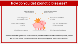 Zoonotic Diseases - Slide 4