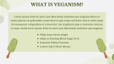Vegan Ice Cream Business Plan Presentation - Slide 4