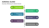 Disorders Affecting the Adrenal Glands - Slide 4