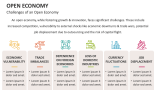 Challenges of an Open Economy - Slide 8