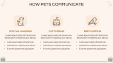 Pet Presentation Theme - Slide 7