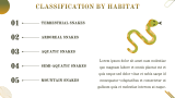 Snake Presentation - Slide 5