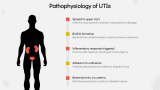 Common Symptoms of Urinary Tract Infections (UTIs) - Slide 6