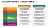 Macronutrients Vs Micronutrients - Slide 2