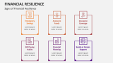 Signs of Financial Resilience - Slide 3