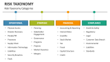 Risk Taxonomy Categories - Slide 4