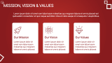 Company Overview - Slide 4