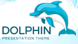Dolphin Presentation - Slide 1