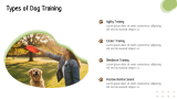 Dog Training Presentation Theme - Slide 3