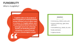 What is Fungibility? - Slide 2