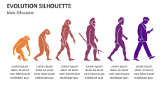 Evolution Male Silhouette - Slide 1