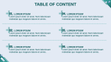 Pharma Brand Plan - Slide 2