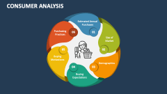 Consumer Analysis Diagram - Slide 1