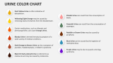 Urine Color Chart - Slide 2